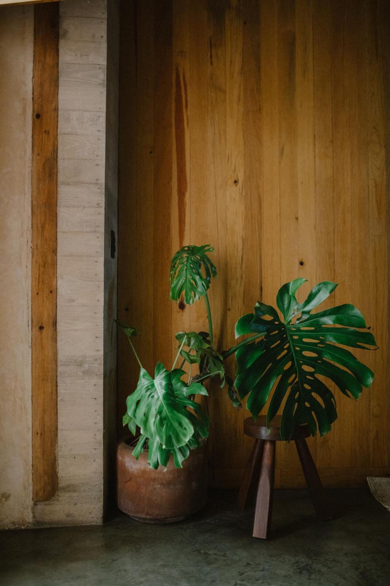 Hotel Escondido Oaxaca, A Member Of Design Hotels 외부 사진